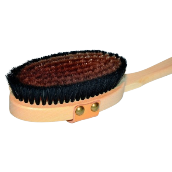 Body Ionic Brush Accesories