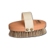 Dry Brushing Body Brush Wellfit –  The Wellness brush Accesories