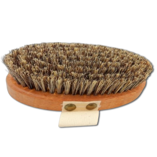 Dry Brushing Body Brush Wellfit –  The Wellness brush Accesories