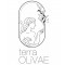 terra OLIVAE