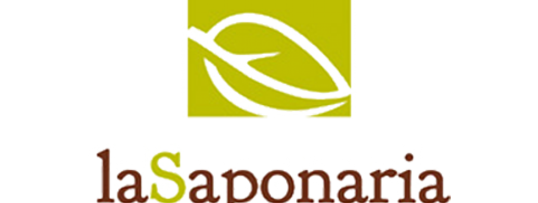 La Saponaria