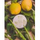 Nourishing and soothing Hand Cream Mint Lemon_60ml Body And Balms