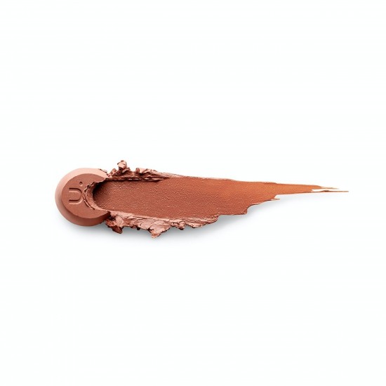 Nourishing Sheer Lipstick Chocoberry Lip Make up